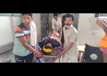 अचानकमार से लगा हुआ बिदावाल गांव से 2 किलो मीटर दूर जंगल मे 55 वर्षीय महिला को वनभैंसा bison 🦬 ने किया हमला