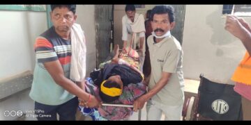 अचानकमार से लगा हुआ बिदावाल गांव से 2 किलो मीटर दूर जंगल मे 55 वर्षीय महिला को वनभैंसा bison 🦬 ने किया हमला