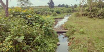 छेरकाबांधा  स्थित वेलकम डिस्टलरी प्राइवेट लिमिटेड का कब होगा जांच ग्रामवासी स्कूल के बच्चे अध्यापक हो रहे हैं प्रदूषण का शिकार खेती हो रही है बंजर कब मिलेगा न्याय