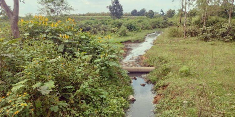 छेरकाबांधा स्थित वेलकम डिस्टलरी प्राइवेट लिमिटेड का कब होगा जांच ग्रामवासी स्कूल के बच्चे अध्यापक हो रहे हैं प्रदूषण का शिकार खेती हो रही है बंजर कब मिलेगा न्याय