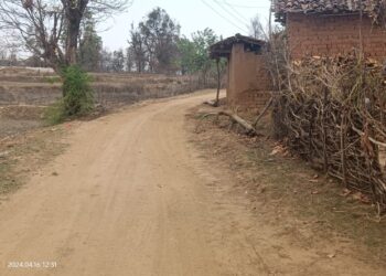 *कोटा जनपद पंचायत के ग्राम पंचायत करही कछार के आश्रित ग्राम केकराडीह,खोलीपरा की समस्या को नजर अंदाज करना जारी है जनप्रतिनिधियों द्वारा किए जाने वाले विकास के दावों पर भी अब सवाल उठने लगे हैं*